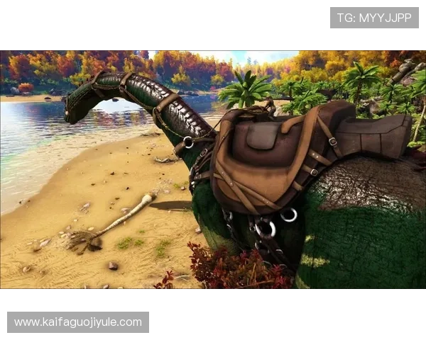 k8官网官方平台详细介绍游戏特色、玩法攻略及玩家交流社区，打造最佳游戏体验