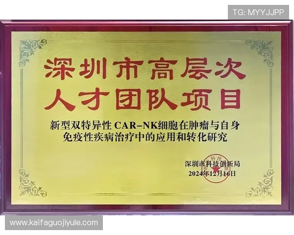 凯发天生赢家解析游戏中的常见问题及解决方案提升游戏体验